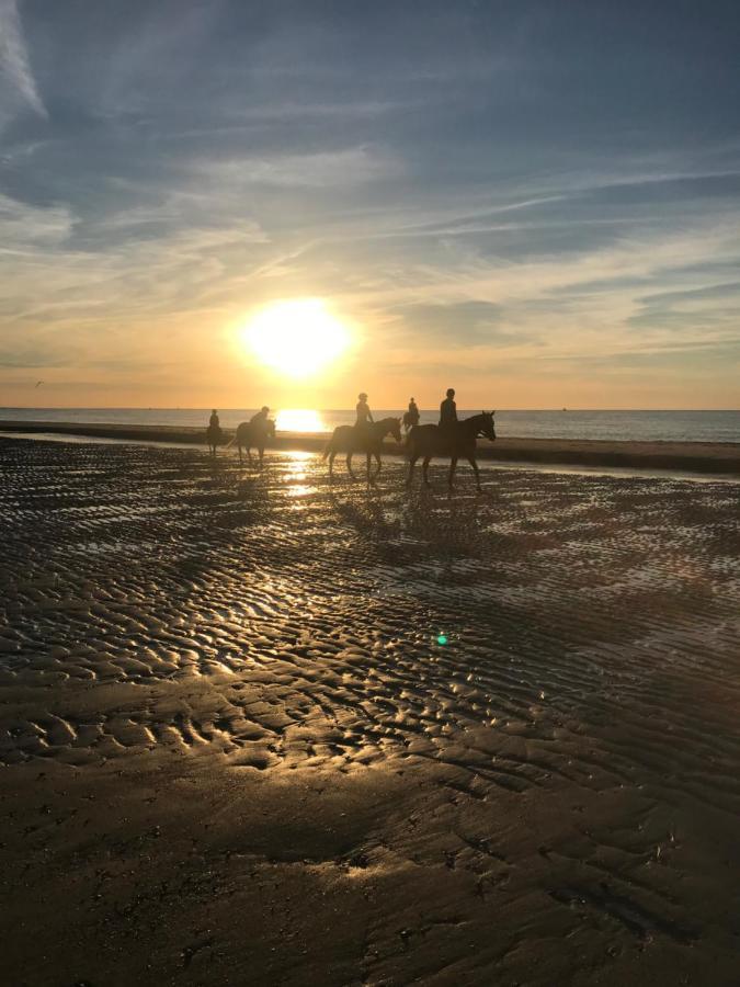 Etoile Aan Zee Vrouwenpolder Exterior foto
